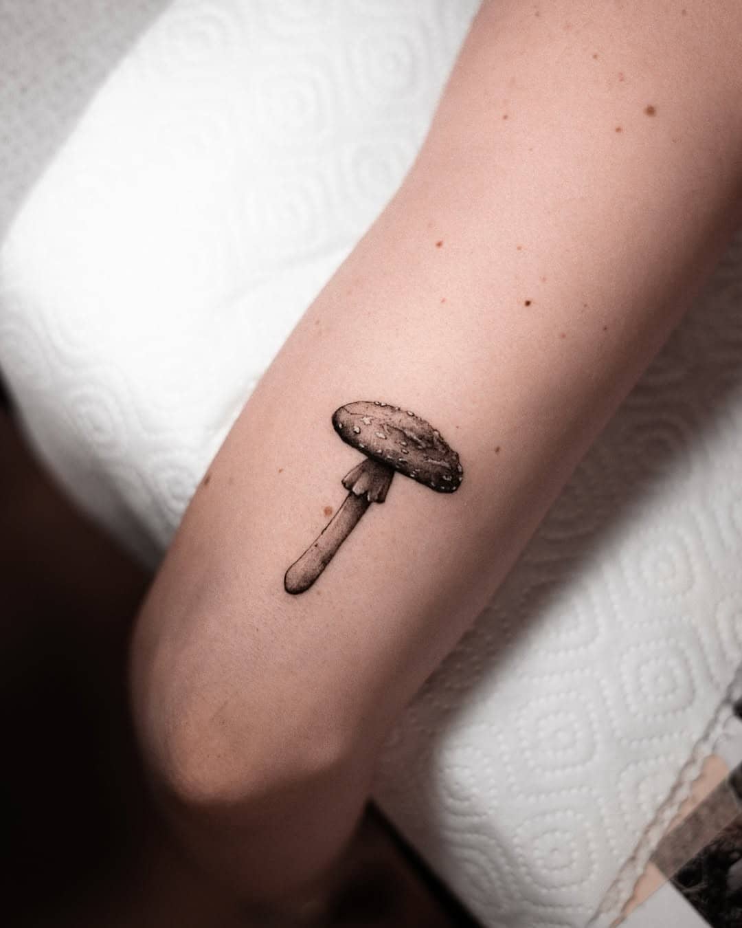 Tatuaż w stylu mikrorealizm – pojedynczy grzyb, wykonany na nodze, projekt autorstwa Nava Sztorm Tattoo Gdańsk.