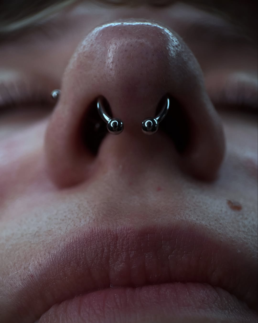 Zbliżenie nosa widzianego od dołu, z dwoma metalowymi podkowami w przegrodzie.